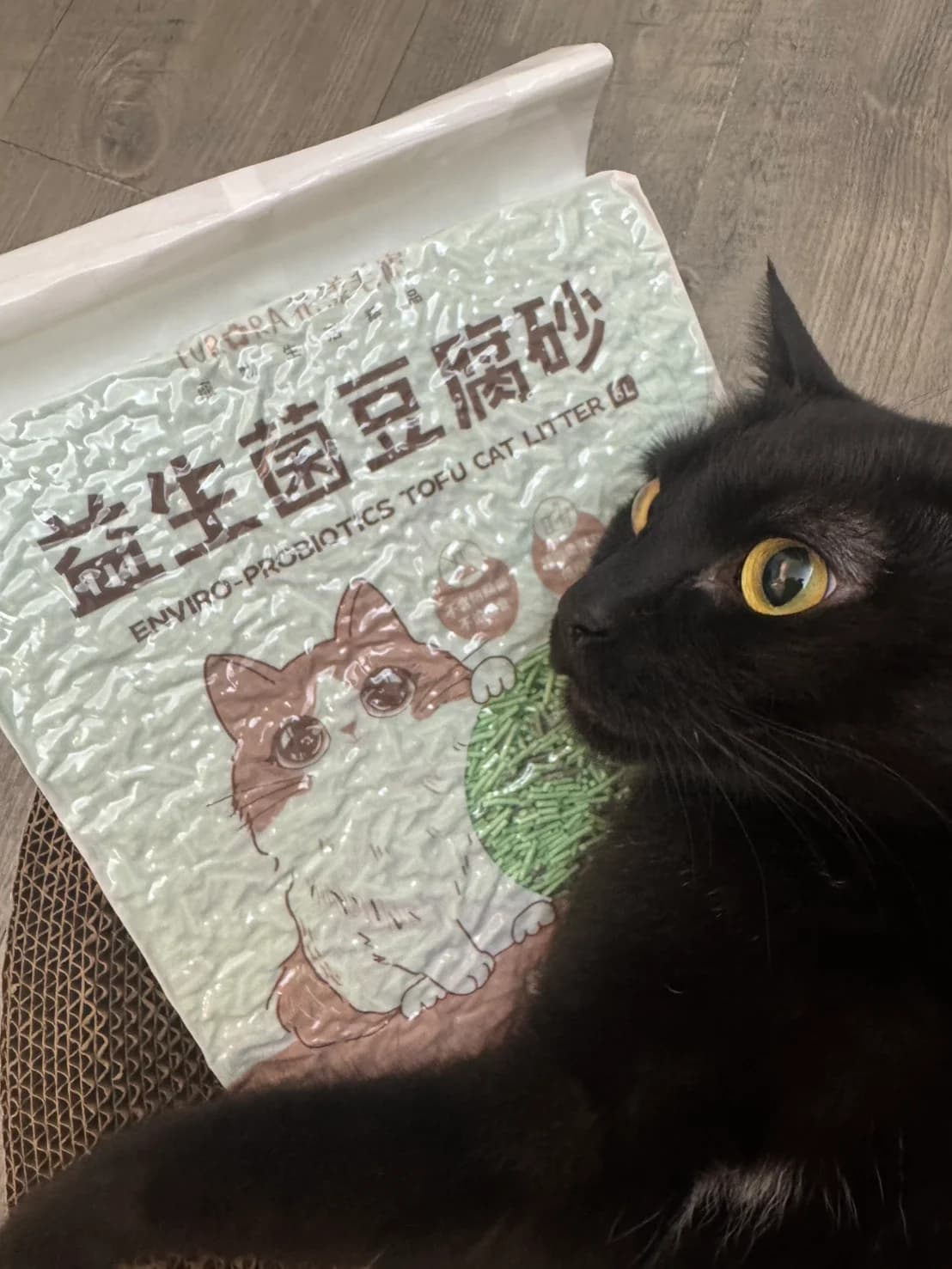 台北 林小姐