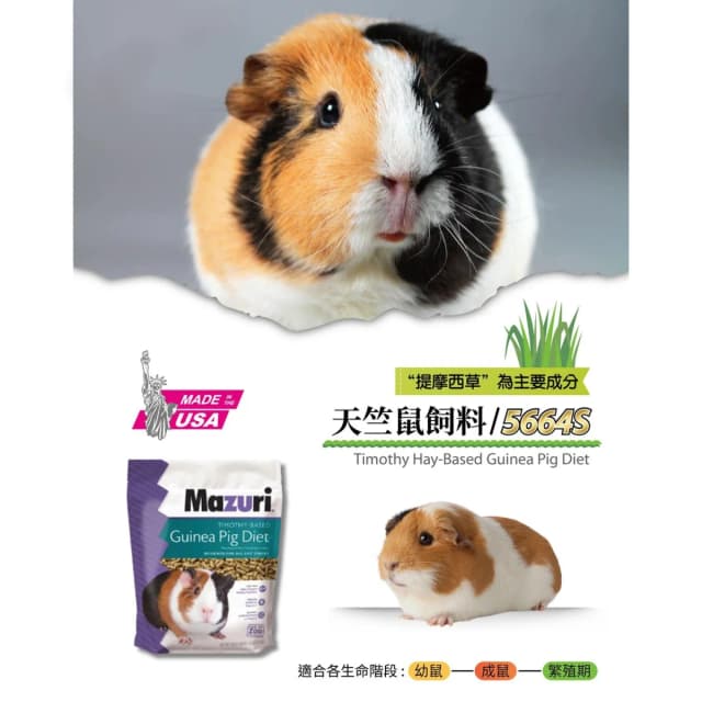 《Mazuri瑪滋力》1kg原裝包 提摩西草天竺鼠飼料 原裝進口